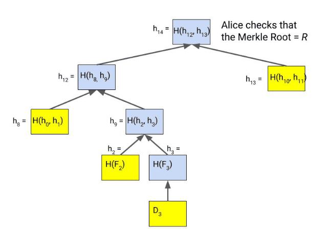 merkle verification